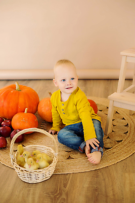 포토 JPG 해외이미지 스튜디오촬영 전신 동물 백인 새끼 탈의 한명 사람 옆모습 가로 금발 관찰 호기심 흰배경 발견 기어가기 천진난만 탈모 해외포토 서양인 1 헤어스타일 감정 뷰포인트 백그라운드 컨셉 모션 실내 흰색 증상 파일형식 이미지허브
