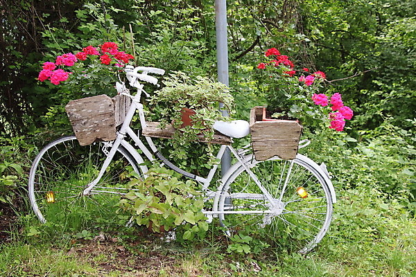 포토 JPG 해외이미지 모양 식물 디자인 꽃 화분 벽 백그라운드 꽃무늬 자연 조명 거리 아이디어 그림자 사람없음 야외 장식 초록색 파란색 바구니 정원 자전거 봄 수확 골동품 벚꽃 흰색 바퀴 냄비 묘사 오브젝트 원예 복고 러시아 대리석 옛날 특별함 흥미 스타일 해외포토 계절 유럽 컬러 컨셉 무늬 농업 재료 취미 바이크 솥 생태계 파일형식 이미지허브