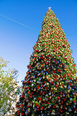 포토 JPG 해외이미지 나무 계절 행복 별 종교 크리스마스 겨울 공 휴가 친절 기념 선물 사람없음 장식 빛 장난감 크리스마스트리 산타클로스 반사 축제 희망 하트 소나무 예수 눈송이 12월 신성 광 노엘 여의주 클라우스 해외포토 자연요소 모양 식물 기념일 감정 눈_날씨 신_종교 날짜 파일형식 이미지허브