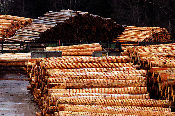 포토 JPG 해외이미지 나무 사람없음 목재 경제 쌓기 재활용 에너지 생태계 통나무 연료 수납 유지 수목 이산화탄소 해외포토 식물 재료 모션 친환경 파일형식 이미지허브