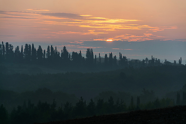 포토 JPG 해외이미지 나무 유럽 밭 농업 오렌지 자연 하늘 풍경 사람없음 야외 초록색 빛 햇빛 농경지 일출 이탈리아 새벽 안개 시골 언덕 밭일 뿌연 토스카나 해외포토 자연요소 식물 나라 산업 컬러 과일 날씨 태양 농장 노을 생태계 파일형식 이미지허브