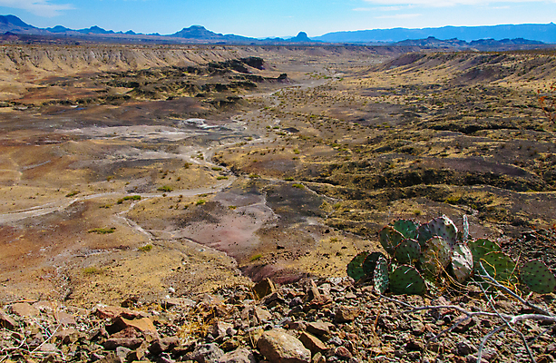 포토 JPG 해외이미지 식물 꽃 분홍색 백그라운드 꽃무늬 과일 자연 날씨 선인장 건조 풍경 사람없음 초록색 여름 파란색 컬러풀 보라색 사막 뜨거움 냄비 척추 내추럴 해외포토 계절 컬러 무늬 뼈 솥 생태계 파일형식 이미지허브