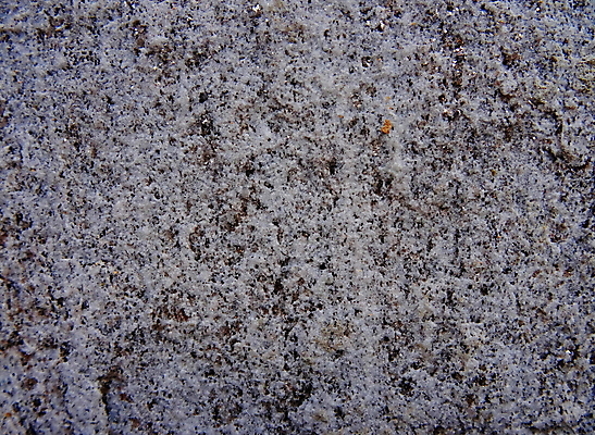 포토 JPG 해외이미지 부분 표면 사람없음 건물 장식 닫기 막 해외포토 건축물 모션 파일형식 이미지허브