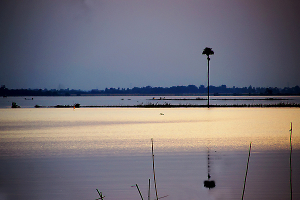 포토 JPG 해외이미지 나무 구름 실루엣 호수 여행 백그라운드 자연 벽지 하늘 휴식 파노라마 손바닥 풍경 사람없음 야외 물 여름 빛 강 태양 반사 평화 침묵 황혼 일몰 새벽 거울 시골 저녁 신비 명상 장면 마법 웅장함 수평선 해외포토 자연요소 식물 손 계절 컨셉 촬영기법 노을 소리 야간 생태계 파일형식 이미지허브