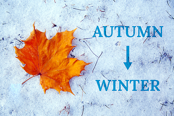 포토 JPG 해외이미지 식물 계절 공원 백그라운드 단풍 잎 겨울 오렌지 자연 벽지 아침 날씨 풍경 사람없음 야외 빨간색 컬러풀 노란색 환경 냉동 얼음 추위 가을 흰색 변화 시원함 크리스탈 싱글 서리 내추럴 땅바닥 카피스페이스 해외포토 주간 자연요소 공공시설 컬러 컨셉 과일 바닥 공백 광석 생태계 파일형식 이미지허브