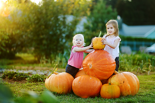 포토 JPG 해외이미지 계절 공원 행복 어린이 단풍 잎 2 부분 자연 놀이 호박 함께함 부츠 웃음 사람 앉기 야외 두명 컬러풀 농장 정원 기쁨 할로윈 수확 잡기 숲 원예 형제 긍정 스쿼시 언니 10월 내추럴 걸음마 생태학 쇠스랑 잭오랜턴 해외포토 식물 공공시설 교육 남자 감정 스포츠 컬러 신발 컨셉 농업 채소 가족 모션 표정 취미 구기 날짜 생태계 자매 파일형식 이미지허브