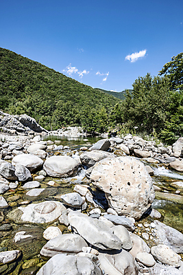 포토 JPG 해외이미지 나무 유럽 지구 여행 백그라운드 자연 산 풍경 사람없음 야외 목재 세로 초록색 물 여름 관광지 강 환경 계곡 스파 침묵 봄 흐름 프랑스 시골 신선 개울 숲 순수 암초 내추럴 지질학 코르시카 카피스페이스 해외포토 자연요소 식물 계절 교육 나라 컬러 섬 컨셉 재료 소리 공백 생태계 파일형식 이미지허브