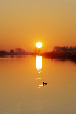 포토 JPG 해외이미지 구름 바다 여행 백그라운드 오렌지 자연 조류 하늘 오리 풍경 사람없음 야외 빨간색 물 여름 빛 햇빛 태양 반사 일출 황혼 일몰 새벽 저녁 운하 수평선 해외포토 자연요소 동물 계절 컬러 과일 노을 야간 생태계 파일형식 이미지허브