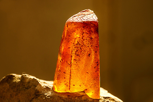 포토 JPG 해외이미지 자연 사람없음 빛 주황색 투명 보석 화석 앰버 해외포토 컬러 광석 생태계 파일형식 이미지허브