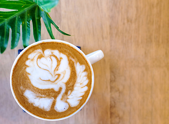 포토 JPG 해외이미지 디자인 커피 음료 음식 백그라운드 따뜻함 미술 사람없음 목재 컵 갈색 상점 검은색 카페 머그컵 수확 흰색 신선 뜨거움 맛 아침식사 굽기 질감 아로마 카푸치노 내추럴 라떼 카페인 스타일 개암 해외포토 나무 식기 열매 컬러 컨셉 농업 재료 문화예술 식사 구이 파일형식 이미지허브