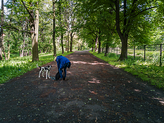 포토 JPG 해외이미지 나무 식물 계절 공원 유럽 길 잎 자연 하늘 사람 풍경 사람없음 야외 목재 초록색 여름 걷기 환경 정원 봄 가을 시골 우아함 개 숲 오솔길 관목 원예 폴란드 내추럴 브로츠와프 해외포토 공공시설 나라 컬러 컨셉 재료 포유류 모션 취미 생태계 파일형식 이미지허브