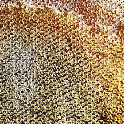 포토 JPG 해외이미지 모양 동물 라이프스타일 음식 곤충 백그라운드 패턴 자연 프레임 세포 사람없음 약 노란색 머리빗 업무 황금 달콤 꿀벌 묘사 질감 바쁨 꽃가루 육각형 꿀 고무 여왕 벌집 내추럴 고립 밀랍 양봉 양봉장 어려움 왁스 진짜 폴리곤 해외포토 도형 컬러 무늬 의학 생활 미용용품 작업 맛 벌_곤충 가루 생태계 파일형식 이미지허브