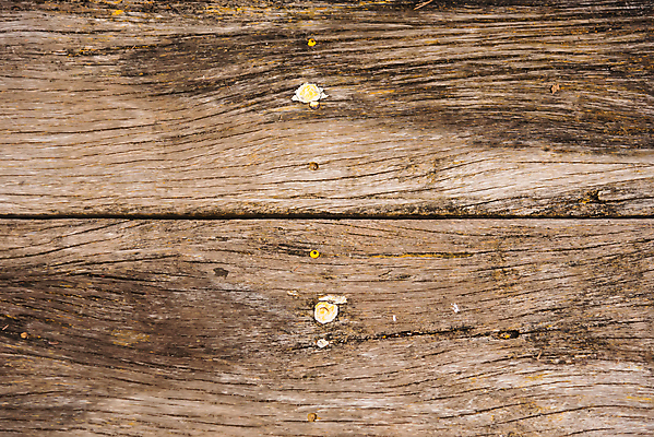 포토 JPG 해외이미지 나무 디자인 벽 가구 백그라운드 패턴 자연 표면 날씨 추상 바닥 건조 사람없음 목재 장식 빛 갈색 어둠 회색 수확 시골 소나무 판넬 거친 널 낟알 책상 질감 복고 잡동사니 내추럴 외양간 그런지 수목 옛날 진짜 해외포토 식물 컬러 생활용품 무늬 농업 재료 생태계 파일형식 이미지허브