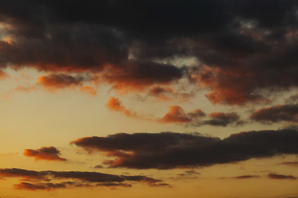 포토 JPG 해외이미지 구름 계절 백그라운드 패턴 자연 벽지 하늘 날씨 추상 안테나 파노라마 미술 풍경 사람없음 야외 여름 파란색 빛 햇빛 태양 일출 환경 맑음 침묵 일몰 봄 흰색 분위기 정상 장면 부드러움 스카이라인 내추럴 수평선 해외포토 자연요소 컬러 컨셉 무늬 통신 문화예술 촬영기법 노을 소리 감각 생태계 파일형식 이미지허브