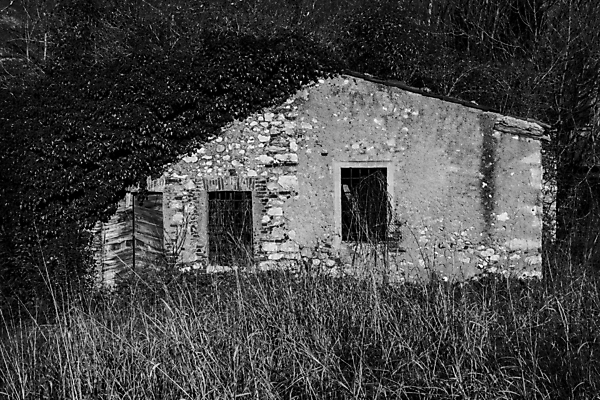 포토 JPG 해외이미지 문화 벽 잎 건축양식 창문 벽지 주택 사람없음 건물 목재 세로 파란색 관광지 농가 마을 이탈리아 수확 골동품 성장 시골 떨어짐 그늘 버리기 생태계 원예 알프스 뿌리 유지 외양간 그런지 깨짐 생태학 썩음 오싹 해외포토 나무 식물 건축물 교육 건축 유럽 컬러 여행 컨셉 농업 재료 모션 취미 농장 파일형식 이미지허브