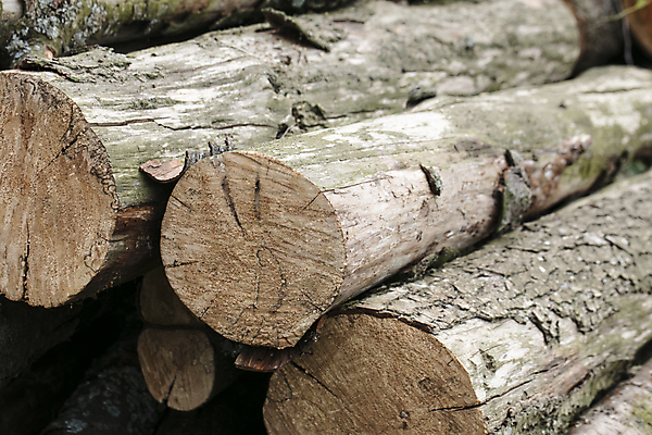 포토 JPG 해외이미지 나무 디자인 산업 조각 백그라운드 패턴 자연 추상 사람없음 목재 갈색 쌓기 환경 시골 반지 소나무 원형 거친 숲 장작 난로 자르기 생태계 벽난로 질감 날것 통나무 나무껍질 난방 잡동사니 내추럴 벌목 수목 해외포토 도형 식물 컬러 무늬 재료 장신구 모션 껍질 난방기 파일형식 이미지허브