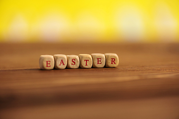 포토 JPG 해외이미지 전통 디자인 계절 행복 백그라운드 컨셉 텍스트 휴가 부활절 이벤트 사람없음 목재 장식 컬러풀 노란색 문 칠판 봄 벚꽃 시골 축하 인사 그리기 질감 2월 엘리먼트 해외포토 나무 기념일 꽃 감정 컬러 재료 모션 예절 날짜 파일형식 이미지허브