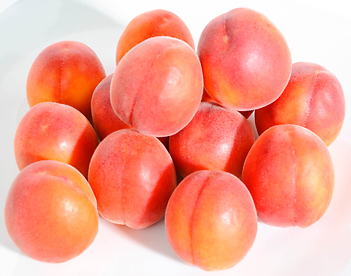 포토 JPG 해외이미지 자연 포도 건강 사람없음 복지 복숭아 살구 해외포토 과일 사회이슈 생태계 파일형식 이미지허브