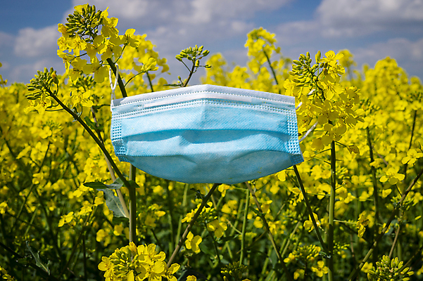 포토 JPG 해외이미지 계절 꽃 얼굴 컨셉 하늘 건강 가면 씨앗 사람없음 야외 치료 파란색 노란색 환경 고통 추위 열 수술 호흡기관 바이러스 볏짚 보호 질병 불기 유채 코 감염 꽃가루 알레르기 돌봄 반응 인플루엔자 재채기 전염병 증상 천식 해외포토 식물 감정 컬러 의학 모션 신체부위 장기_의학 짚 가루 파일형식 이미지허브