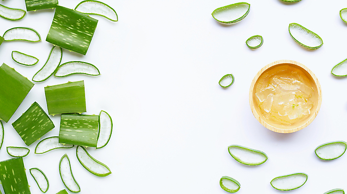 포토 JPG 해외이미지 스튜디오촬영 단면 실내 사람없음 하이앵글 흰배경 나무그릇 알로에 해외포토 식물 그릇 뷰포인트 백그라운드 내부 목재 흰색 파일형식 이미지허브