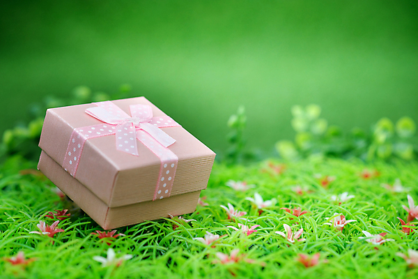 포토 JPG 해외이미지 나무 디자인 기념일 꽃 리본 종이 분홍색 백그라운드 잎 크리스마스 밭 휴가 새로움 아이디어 발렌타인데이 선물 미술 잔디 사람없음 장식 빨간색 초록색 빛 상자 맑음 축제 놀람 흰색 축하 생일 연도 오브젝트 활 감사 가치 수공예 소통 뒤뜰 엘리먼트 특별함 해외포토 식물 감정 컬러 컨셉 농업 데이이벤트 날씨 문화예술 표정 이벤트 공예 파일형식 이미지허브