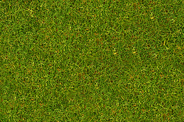 포토 JPG 해외이미지 식물 계절 공원 스포츠 백그라운드 밭 자연 벽지 추상 풍경 잔디 사람없음 초록색 여름 환경 정원 축구 봄 행성 야구 성장 게임 신선 닫기 땅 그림 에코 질감 내추럴 땅바닥 인공 그리너리 해외포토 공공시설 컬러 무늬 농업 모션 놀이 바닥 구기 우주 생태계 파일형식 트랜드컬러 이미지허브