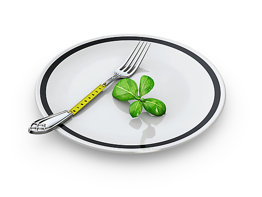 포토 JPG 해외이미지 배너 음식 조각 백그라운드 포크 컨셉 다이어트 토마토 채소 과일 오이 건강 요리 사람없음 초록색 빛 쌓기 식당 요리사 샐러드 기구 신선 몸무게 배열 먹기 비만 날씬함 측정 메뉴 유기농 테이프 칼로리 성분 고립 당뇨병 분실 적자 줄서기 채식주의자 카피스페이스 해외포토 직업 식기 웰빙 컬러 모션 문구용품 상점 공백 질병 몸매 채식 파일형식 이미지허브