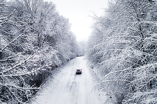 포토 JPG 해외이미지 나무 계절 도로 야생동물 여행 백그라운드 겨울 자동차 자연 하늘 날씨 스키 산 안테나 파노라마 풍경 사람없음 야외 목재 환경 냉동 얼음 추위 탐험 흰색 시골 신선 정상 숲 시원함 서리 내추럴 드론 뿌연 수평선 해외포토 자연요소 식물 동물 길 육상교통 컬러 재료 통신 교통시설 겨울스포츠 촬영기법 생태계 파일형식 이미지허브