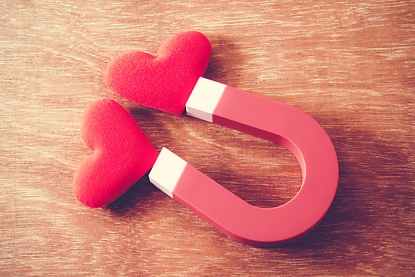 포토 JPG 해외이미지 커플 감정 백그라운드 컨셉 2 자연 발렌타인데이 관리 사랑 사람없음 빨간색 우주 흰색 하트 마음 실 연결 뇌 매듭 해외포토 모양 컬러 관계 데이이벤트 생태계 파일형식 이미지허브