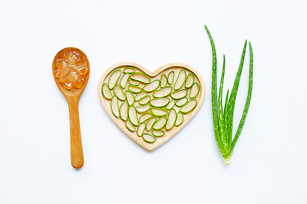 포토 JPG 해외이미지 스튜디오촬영 단면 실내 사람없음 하이앵글 흰배경 나무접시 알로에 하트접시 플랫레이 해외포토 식물 접시 뷰포인트 백그라운드 내부 흰색 플랫 파일형식 이미지허브