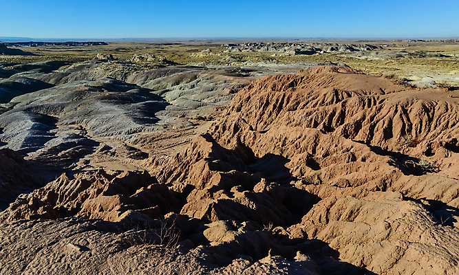 포토 JPG 해외이미지 나무 공원 모래 자연 산 파노라마 국립공원 풍경 사람없음 목재 빨간색 컬러풀 계곡 미국 흙 사막 암석 바위 나뭇가지 숲 크리스탈 부식 화석 애리조나 전국 절정 지질 지질학 해외포토 식물 공공시설 교육 컬러 북아메리카 재료 촬영기법 돌_바위 광석 생태계 파일형식 이미지허브