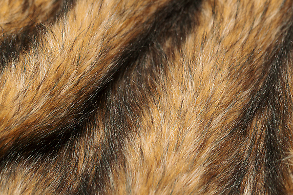 포토 JPG 해외이미지 동물 디자인 옷 백그라운드 겨울 패턴 자연 표면 추상 프레임 털 따뜻함 사람없음 장식 갈색 노란색 유행 우주 코트 수확 직물 닫기 개 담요 모피 가득함 묘사 질감 복고 합성 부드러움 솜털 늑대 양모 거짓 그런지 해외포토 계절 컬러 무늬 농업 포유류 모션 외투 감각 생태계 파일형식 이미지허브