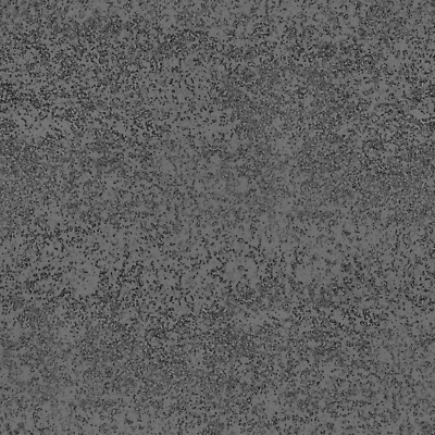 포토 JPG 해외이미지 디자인 외관 종이 벽 백그라운드 패턴 탁자 표면 추상 바닥 미술 사람없음 장식 빛 갈색 우주 검은색 어둠 공백 회색 수확 골동품 덮개 시골 거친 타일 묘사 질감 복고 페이지 시트 내추럴 그런지 석판 양피지 엘리먼트 옛날 콘크리트 화강암 해외포토 컬러 가구 무늬 농업 문화예술 뚜껑 암석 파일형식 이미지허브