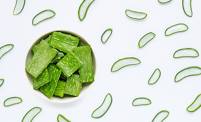 포토 JPG 해외이미지 스튜디오촬영 단면 실내 사람없음 하이앵글 사기그릇 흰배경 알로에 플랫레이 해외포토 식물 그릇 뷰포인트 백그라운드 내부 흰색 플랫 파일형식 이미지허브