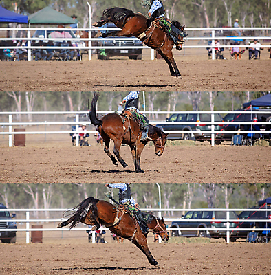 포토 JPG 해외이미지 주간 남자 자동차 세마리 여러명 상반신 성인 야외 울타리 말_동물 승마 카우보이 카우보이모자 카우보이복장 성인남자만 해외포토 자연요소 모자_잡화 옷 육상교통 스포츠 다수 포유류 3 사람 담장 남자만 성인만 파일형식 이미지허브