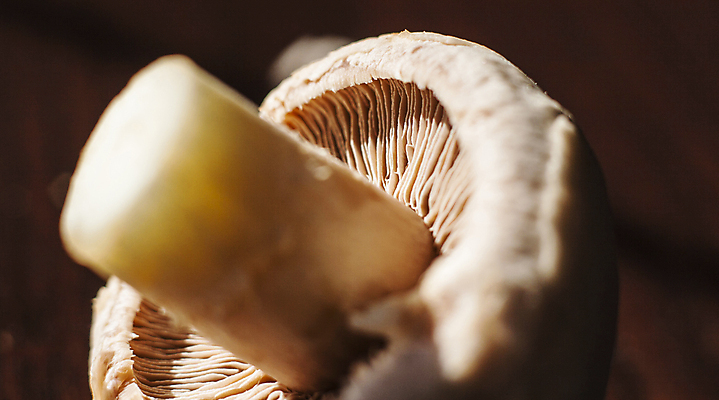 포토 JPG 해외이미지 접시 음식 줄기 다이어트 재료 요리 사람없음 식사 버섯 먹이 강의 영양 곰팡이 식용 해외포토 식물 식기 건강 파일형식 이미지허브