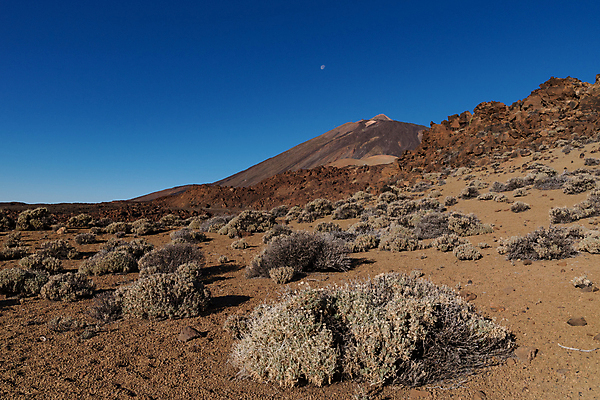 포토 JPG 해외이미지 공원 모래 섬 여행 자국 자연 하늘 산 건조 풍경 경사 사람없음 야외 여름 우주 트래킹 하이킹 사막 바위 스페인 파편 언덕 화산 용암 내추럴 전국 절정 지질학 해외포토 계절 공공시설 교육 유럽 레저 돌_바위 생태계 파일형식 이미지허브