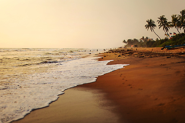 포토 JPG 해외이미지 나무 식물 실루엣 모래 파도 바다 섬 여행 호텔 바람 휴가 휴식 손바닥 사람 풍경 사람없음 여름 태양 노란색 황혼 일몰 새벽 젖음 안개 뜨거움 저녁 발자국 휴양지 이국적 파라다이스 해외포토 자연요소 손 계절 컬러 컨셉 자국 숙소 날씨 촬영기법 노을 장소 야간 파일형식 이미지허브