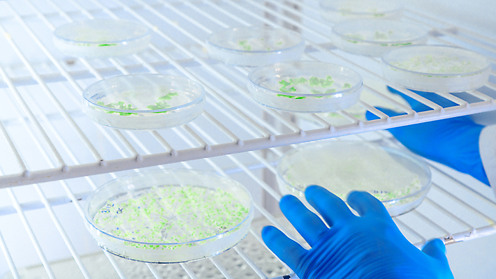 포토 JPG 해외이미지 그릇 손 문화 과학 장갑 컨셉 건강 병원 실험 사람없음 치료 스터디 약 장비 잡기 기술자 실험실 바이러스 질병 과학자 분석 생물학 감염 미생물 냉장고 박테리아 조제 혁명 개발 화학물질 해외포토 직업 식기 잡화 교육 의학 모션 생물 신체부위 학습 가전제품 화학 만들기 학자 파일형식 이미지허브