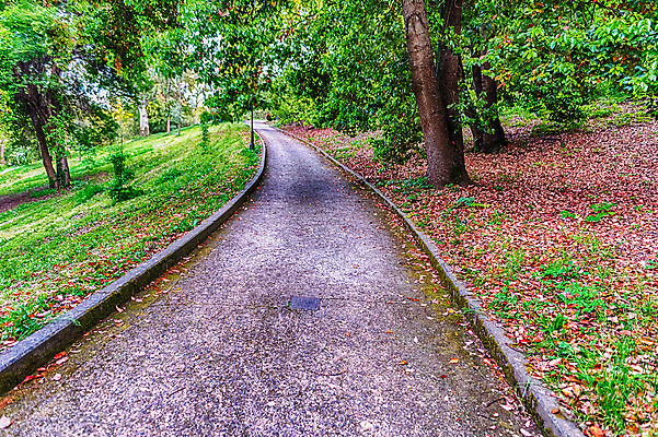 포토 JPG 해외이미지 나무 계절 공원 도로 길 백그라운드 잎 자국 자연 풍경 사람없음 야외 목재 초록색 여름 빛 환경 봄 이탈리아 산책 시골 숲 로마 장면 내추럴 방법 해외포토 식물 공공시설 유럽 컬러 재료 교통시설 휴식 생태계 파일형식 이미지허브
