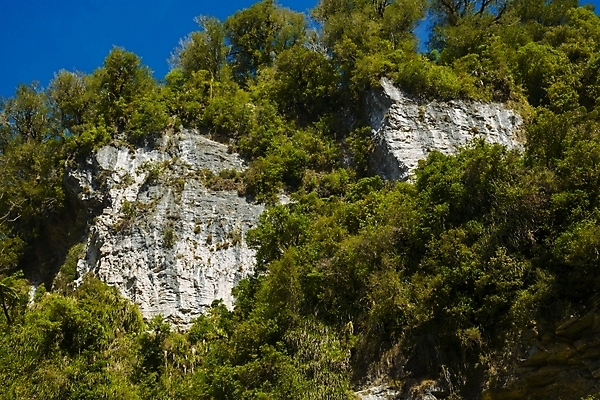포토 JPG 해외이미지 나무 식물 구름 여행 백그라운드 잎 자연 하늘 산 풍경 사람없음 야외 초록색 여름 파란색 컬러풀 환경 맑음 봄 새벽 안개 가을 황무지 숲 신비 열대우림 언덕 스카이라인 뿌연 절정 그리너리 해외포토 자연요소 계절 컬러 컨셉 날씨 생태계 파일형식 트랜드컬러 이미지허브