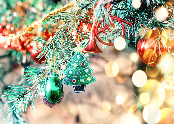 포토 JPG 해외이미지 나무 계절 크리스마스 겨울 공 휴가 전등 사람없음 장식 빨간색 초록색 빛 크리스마스트리 흰색 나뭇가지 축하 소나무 신용카드 황금 12월 연도 전나무 고립 해외포토 식물 기념일 컬러 컨셉 조명 금융 날짜 파일형식 이미지허브