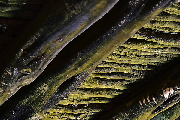 포토 JPG 해외이미지 나무 식물 디자인 백그라운드 패턴 자연 표면 지붕 추상 이끼 사람없음 목재 초록색 갈색 환경 젖음 촉촉함 수확 골동품 거친 터널 닫기 천장 질감 나무껍질 모로코 짜임 내추럴 그런지 수목 옛날 해외포토 길 컬러 무늬 농업 재료 모션 아프리카 껍질 생태계 파일형식 이미지허브