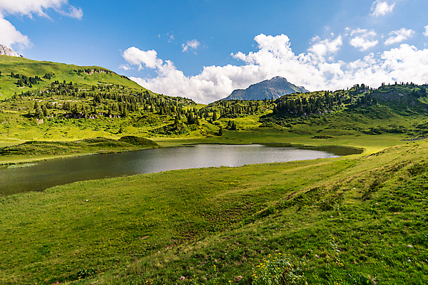 포토 JPG 해외이미지 꽃 호수 여행 가족 자연 휴가 산 파노라마 사람없음 야외 여름 햇빛 산책 트래킹 하이킹 시골 체험 오스트리아 보호 정상 알프스 절정 해외포토 식물 계절 유럽 컨셉 관계 레저 휴식 촬영기법 태양 생태계 파일형식 이미지허브