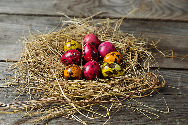 포토 JPG 해외이미지 전통 디자인 계절 음식 백그라운드 컨셉 상상 탁자 검은배경 휴가 창조 이벤트 사람없음 목재 장식 가로 컬러풀 페인트 봄 시골 축하 죽음 그룹 닫기 심볼 준비 유기농 질감 부활절계란 염색 내추럴 판지 정물화 카피스페이스 해외포토 나무 웰빙 컬러 가구 재료 모션 부활절 계란 검은색 공백 그림 파일형식 이미지허브