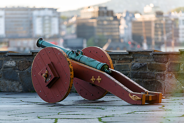 포토 JPG 해외이미지 모델 전통 공원 무기 미술 사람없음 장식 금속 힘 총 수확 골동품 가을 바퀴 수비 역사 공격 철 복고 싸움 전쟁 육군 무거움 대포 전쟁터 구식 땅바닥 옛날 해외포토 계절 공공시설 농업 모션 재질 문화예술 바닥 군대 무게 파일형식 이미지허브