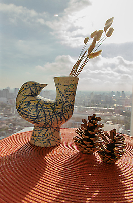 포토 JPG 해외이미지 모양 나무 식물 디자인 백그라운드 잎 거실 패턴 유리 탁자 바닥 주택 기념 선물 미술 사람없음 내부 장식 유행 우주 꽃병 방 수확 도시 도자기 클래식 우아함 묘사 싱글 질감 복고 열정 스타일 힙스터 미니멀리스트 해외포토 패션 꽃 감정 가구 컨셉 무늬 농업 재질 문화예술 건물 파일형식 이미지허브