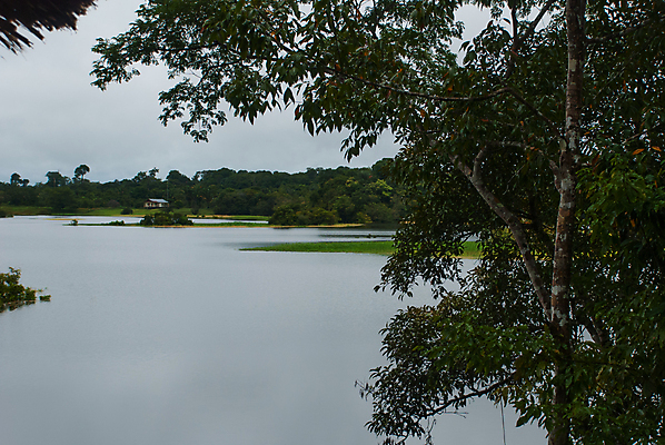 포토 JPG 해외이미지 나무 식물 커플 계절 공원 호수 스포츠 여행 백그라운드 잎 자연 하늘 휴가 주택 사람 사람없음 목재 초록색 물 강 반사 미국 봄 보트 원주민 숲 오두막 가난 열대우림 홍수 심플 브라질 남쪽 동물상 아마존 페루 해외포토 자연요소 공공시설 컬러 컨셉 북아메리카 배_교통 재료 관계 건물 조형물 남아메리카 아프리카인 자연재해 방향 생태계 파일형식 이미지허브