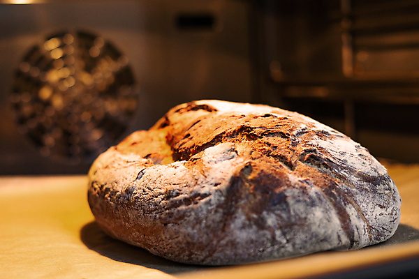 포토 JPG 해외이미지 식물 직업 전통 산업 음식 백그라운드 비즈니스 공장 쟁반 요리 사람없음 갈색 세일 상점 식사 저녁식사 기계 빵집 장비 트럭 수확 껍질 신선 뜨거움 오븐 아침식사 제조 낟알 굽기 먹기 상승 반죽 밀가루 덩어리 번 선로 이스트 제빵사 페스츄리 핸드메이드 많음 해외포토 빵 컬러 컨셉 농업 공업 모션 자동차 가전제품 가루 구이 파일형식 이미지허브