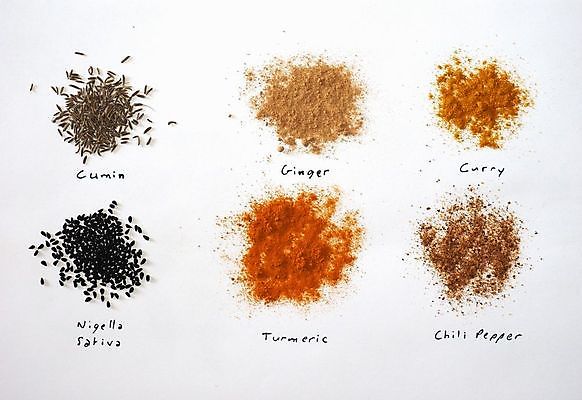 포토 JPG 해외이미지 아시아 고추 건강 요리 씨앗 동양인 사람없음 검은색 미국 가루 인도인 먹기 향신료 매움 후추 카레 생강 남쪽 강황 많음 해외포토 외국인 식물 나라 음식 컬러 컨셉 북아메리카 채소 식재료 모션 인종 맛 방향 향미료 파일형식 이미지허브